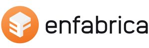 Enfabrica Logo